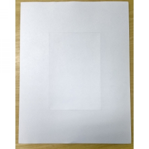 Blank Pre Perfed Sheets with Microperf Centre (500 per box) Image 1