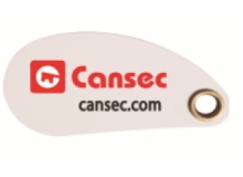 CanProx AWID Format Key II - 26 bit (Pack of 100)