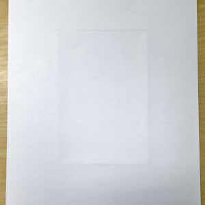 Blank Pre Perfed Sheets with Microperf Centre (100 per box)
